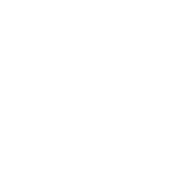 turtle town white logo